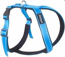 Traksid Amiplay Reflective, 310-380 mm, sinine