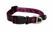 Kaelarihm Rogz Alphinist, XL, 43-70 cm, lilla