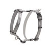 Traksid Rogz Alpinist Classic, 230 - 370 mm x 11 mm, hall