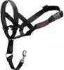 Suukorv Company of Animals Halti, 46-62 cm, must