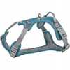 Rakmed Trixie Active Premium, L/XL, sinine