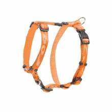 Traksid Rogz Alpinist Classic, oranž, L, 450 - 750 mm x 20 mm