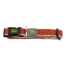 Kaelarihm Hunter Basic, 30-43 cm, oranž