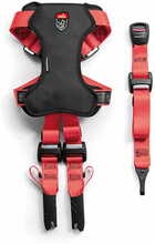Traksid Zolux Travel Safe M, punased
