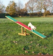 Agility treeningkiik Trixie, 300 x 54 x 34 cm