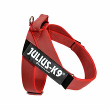Traksid Julius K9 IDC Color & Gray, koertele