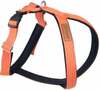 Traksid Amiplay Grand Soft Cotton, S, 340-430 mm, oranž