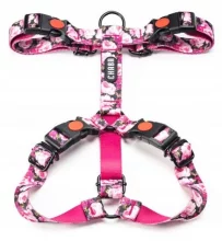 Rakmed Chaba Guard Story IV S, Peony