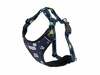 Traksid Amiplay Discovery BeSpace, M, 350-500 mm, sinine