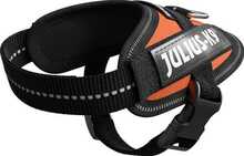 Traksid Julius K9 K9 IDC, Baby 1, UV oranž, 29-36 cm