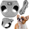 Rakmete komplekt Springos PA0237, M, 9-13 kg, 150 cm, hall