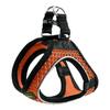 Traksid Hunter Hilo Comfort, XS-S, 37-42 cm, oranž