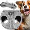 Rakmete komplekt Springos PA0235, XS, kuni 5,5 kg, 150 cm, hall