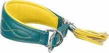 Kaelarihm Trixie Active Comfort, XS, 21-26 cm, kollane/türkiis