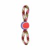 Mänguasi koertele Zolux Rope Toy, 36 cm, erinevad värvid