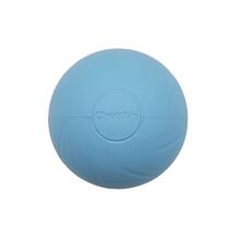 Interaktiivne pall koertele Cheerble Ball W1 SE, sinine