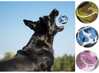 Tenisepallid koertele Pets Collection, 3 tk