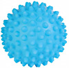 Mänguasi koertele ogadega pall Trixie, 16 cm