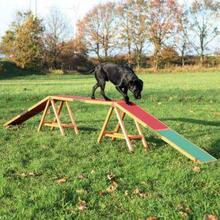 Treeningsild koertele Trixie Dog Activity Agility, 456 × 64 × 30 cm