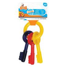 Närimismänguasi kutsikatele Nylabone Keys, S
