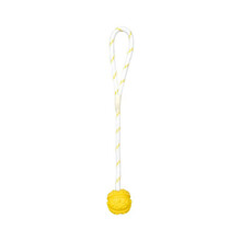 Mänguasi koertele pall nööriga Trixie, 4.5 cm