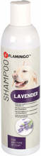 Šampoon koertele Karlie Flamingo Lavender KF93109, 300 ml