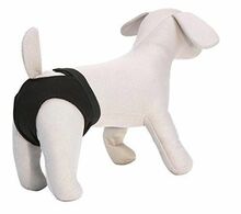 Aluspüksid emastele koertele Croci Doggy Pants, 45 cm, suurus 4
