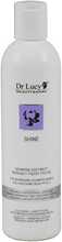 Šampoon Acrylmed Dr. Lucy Nourishing Shine, 250 ml