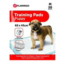 Treeningmatt koertele Flamingo PADY Training Puppy, 60 x 45 cm, 20 tk