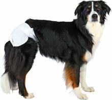 Ühekordsed mähkmed emastele koertele Trixie for Female Dogs 23632, S-M, 12 tk