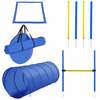 Koerte agility spordivarustuse komplekt PawHut, 5-osaline