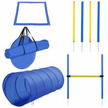 Koerte agility spordivarustuse komplekt PawHut, 5-osaline