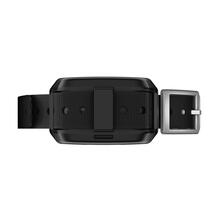 Elektriline kaelarihm Garmin Delta SE