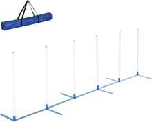 Agility treeningvarustus koertele Pawhut, 6-osaline komplekt, 305 x 60 x 94 cm