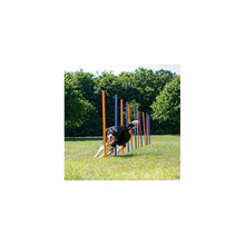 Slaalomi treeningkomplekt koertele Trixie Agility TX-3206, 12 pulka, 115 cm, plastik
