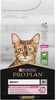 Kuivtoit kassidele Purina Pro Plan Delicate Digestion lambaga, 10 kg