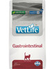 Kuivtoit kassidele Farmina Vet Life Gastrointestinal, 2 kg