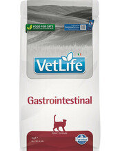 Kuivtoit kassidele Farmina Vet Life Gastrointestinal, 2 kg