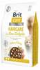 Kuivtoit kassidele Brit Care Cat Haircare with Raw Delights, kalkun, 2 kg
