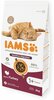 Kuivtoit kassipoegadele IAMS Cat Advanced Nutrition Sensitive Digestion, 2 kg