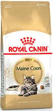 Kuivtoit kassidele Royal Canin Maine Coon Adult, 4 kg