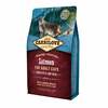 Kuivtoit kassidele Carnilove Cat Salmon Sensitive & Long Hair, 2 kg