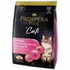 Kuivtoit kassipoegadele Prospera Plus Kitten Healthy Development, kanaga, 2 kg