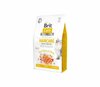 Kuivtoit kassidele Brit Care Grain-Free Haircare Healthy & Shiny Coat, 400 g