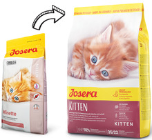 Kuivtoit kassipoegadele Josera Kitten, 2 kg