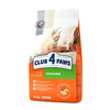 Kuivtoit kassipoegadele Club 4 Paws Premium kanaga, 5 kg