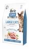 Kuivtoit kassidele Brit Care Grain-Free Large Cats Power & Vitality, 7 kg