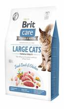 Kuivtoit kassidele Brit Care Grain-Free Large Cats Power & Vitality, 7 kg