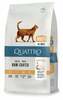 Kuivtoit kassidele Quattro Adult kanaga, 1,5 kg