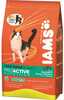 Kuivtoit kassipoegadele Iams for Vitality Adult Hairball kanaga, 3 kg